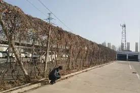 育华驾校练车场【石家庄印象】视频封面