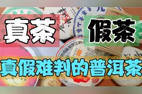 大厂量产茶，私人定制茶，真假难判的普洱茶视频封面