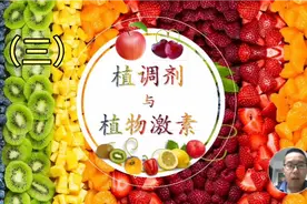 植物生长调节剂毒性到底如何？你可能真的误解了它视频封面