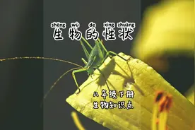 生物的性状 八年级下册生物知识点第7集视频封面