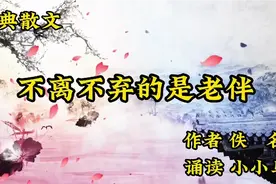 美文诵读《不离不弃的是老伴》作者 佚名 老伴，有你我是真的幸运视频封面