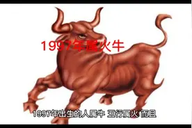 十二生肖守护神之1997年属火牛视频封面