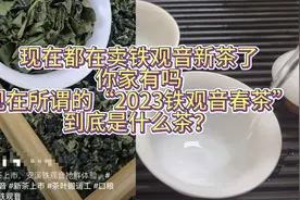 现在都在卖的“2023年铁观音春茶”到底是什么茶?你入坑了吗?视频封面