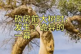 砍房前大树，发生诡异，压死砍树人视频封面