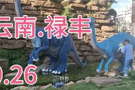 帮宝爸办理身份证，结果得30天后才能拿，刚好参加朋友婚礼，忙碌视频封面