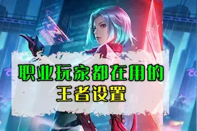 王者设置你们学会了吗视频封面