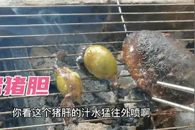 把猪胆烤熟，用猪肝包裹猪胆吃，太香了，回味无穷视频封面