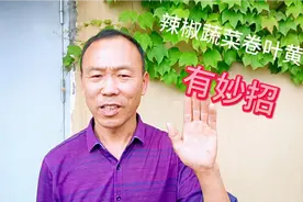 一个食醋小配方，防治辣椒蔬菜干叶、黄叶、卷叶效果好视频封面