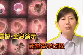 震撼，全息演示正常受孕过程！视频封面