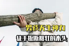 小孩天生神力，徒手扳断粗壮木头，终究惹出祸端视频封面