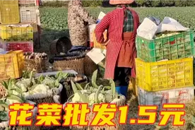 福州长乐蔬菜贵到5元一斤，现在地里的花菜上市，能赚钱吗视频封面