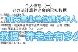 机关事业单位退休中人，专业技术4级，教授，养老金有多少（一）