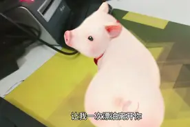 小猪的屁股扭得太性感了。要火的节奏。视频封面