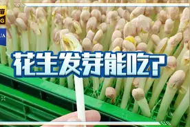 花生发芽了到底能不能吃？视频封面