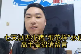 七天以内小猪“蛋花样”水便，高手高招请留言！视频封面