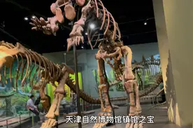 天津自然博物馆镇馆之宝视频封面