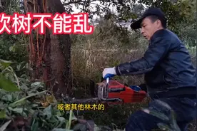 农村生活＃砍树小知识视频封面