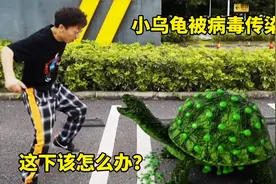 小乌龟被病毒传染了，这下该怎么办？视频封面