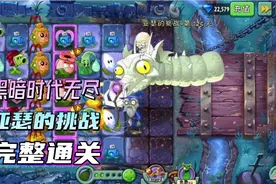 pvz2:黑暗时代无尽模式完整通关视频封面