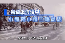 我们经常听到吴语上海话中 小赤佬 与小瘪三 究竟是啥意思呢？视频封面