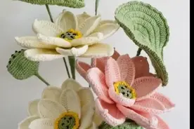 几种花的钩织图解