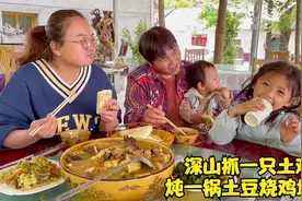 在山里抓一只土鸡，炖一锅土豆烧鸡块，天天奶奶一家吃美了视频封面
