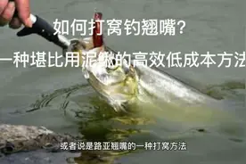 如何打窝钓翘嘴？无论是台钓还是路亚效果都不错视频封面