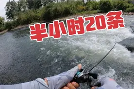 流水鳜鱼怎么钓？看完你就明白了。小伙一条接一条拉到手软！视频封面