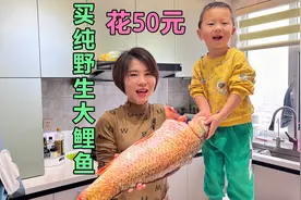 花50元买了一条纯野生的大鲤鱼，足足有12斤重比桐桐还高，炖一锅