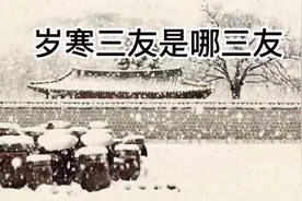 岁寒三友是哪三种，你知道吗？你最喜欢哪一种？视频封面