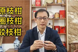 新会陈皮原枝圈枝驳枝的区别以及现在的市场状况，耐心看完视频封面