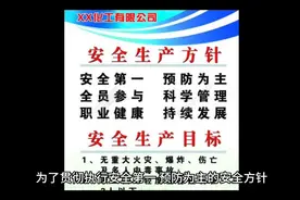 项目安全管理制度#技术措施和经济措施相结合 经济处罚 安全第一视频封面