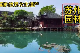 中国的世界文化遗产-苏州古典园林#世界文化遗产 #苏州园林视频封面
