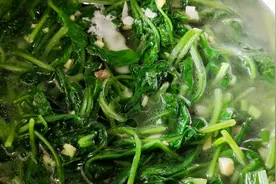 家乡特色菜，萝卜秧菜叶汤，营养美味清热排毒有药食同源的功效视频封面