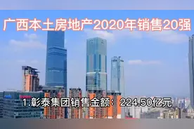 广西本土房企20强玉林中鼎与贵港小龙虽然排名紧靠但是差距太远视频封面