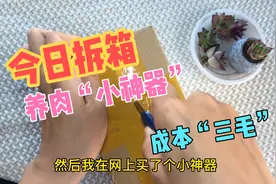 让多肉“快速发根”的“小妙招”只要一个小神器，实在是太方便！视频封面