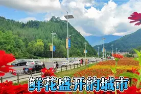 陕西海拔最高的县城太白县，一个被三条网红花海线路包围的城市视频封面