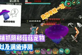 星川解说:创造与魔法捕抓阴郁菇菇宠物以及满级评测竟能单挑一切视频封面