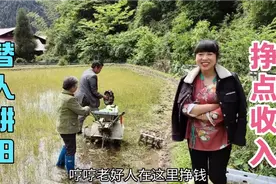 帮人犁地1小时就有饭吃，因想娶老婆受父阻挠，老好人闹情绪视频封面