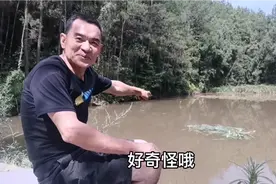 农村怪事多，别人在我鱼塘养鱼了，我该如何处理呢？视频封面