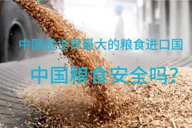 家里有粮，心里不慌，中国粮食储备够国人吃一年！视频封面