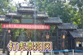 三碗不过岗，阳谷景阳冈，吊睛白额虎，三拳见阎王视频封面