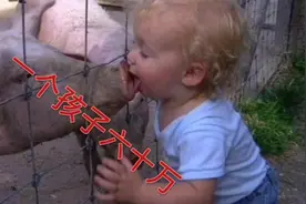 生个孩子给六十万！视频封面