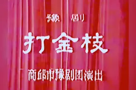 豫剧《打金枝》刘忠河老师领衔主演，1980年演出实况录像。视频封面