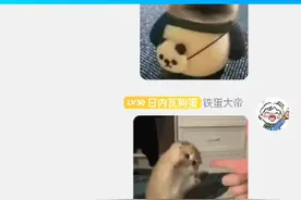 Q群拉人展示视频封面