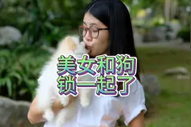 美女和狗锁一起了能开不?视频封面