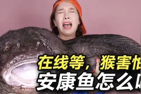 刚领到工资，小姑娘300买巨型鮟鱇鱼，做成美食自己独食，太香了视频封面