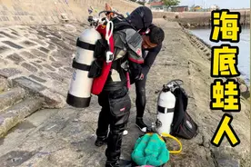 实拍青岛海底蛙人捞鲍鱼，身背40斤气瓶手拿鱼叉，海里作业视频封面