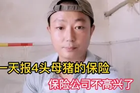 一天报4头母猪的保险，保险公司说:“以后别买保险了”视频封面
