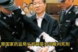 建国后第一个被判处死刑的正部级官员原国家药监局长郑筱萸视频封面